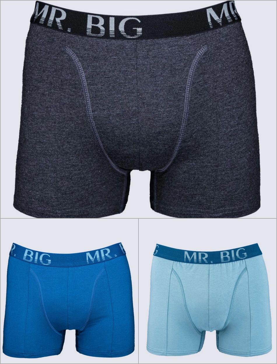 Mr. Big elasztikus pamut classic boxer